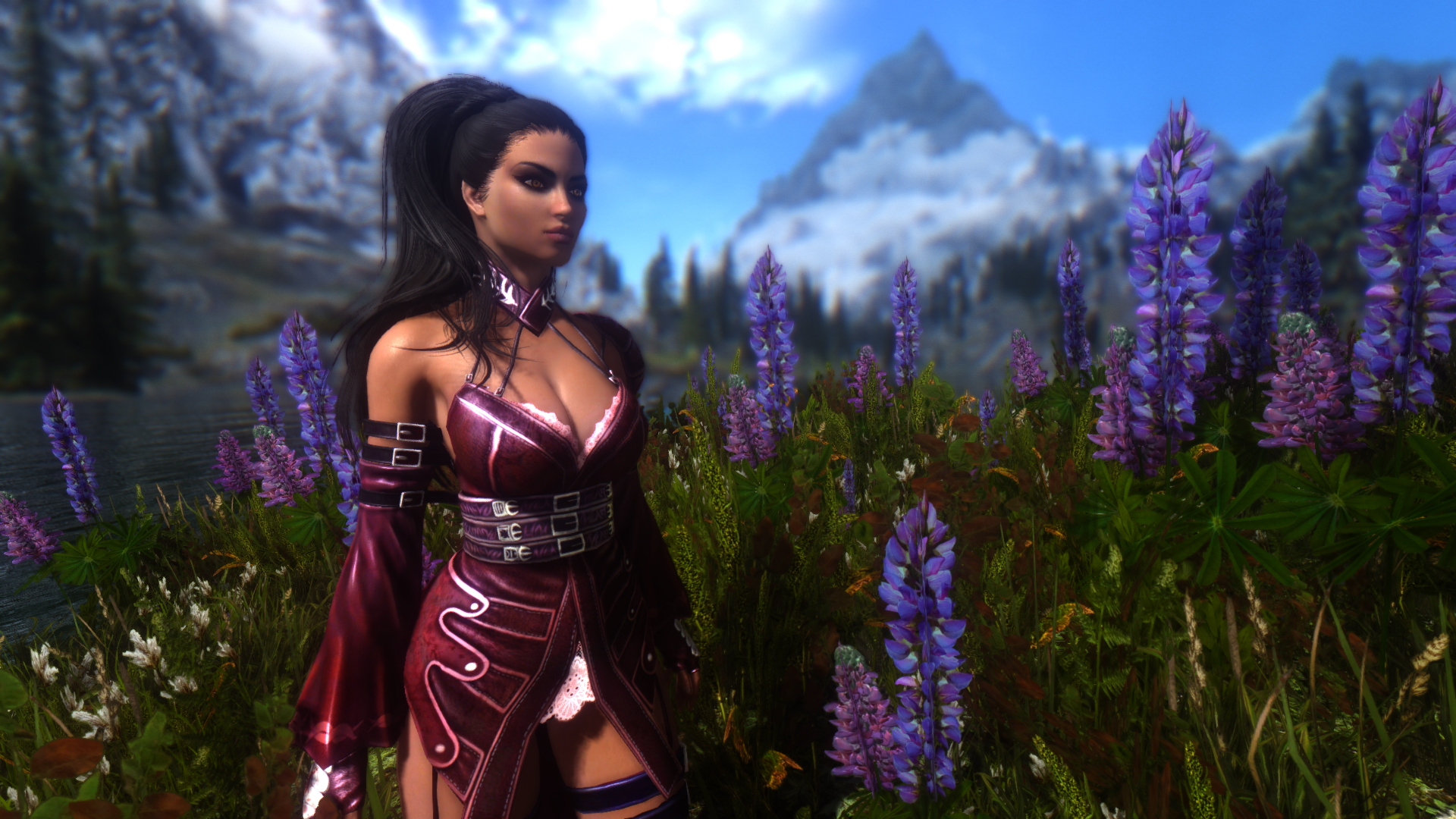 Skyrim Beautification Project - Mod