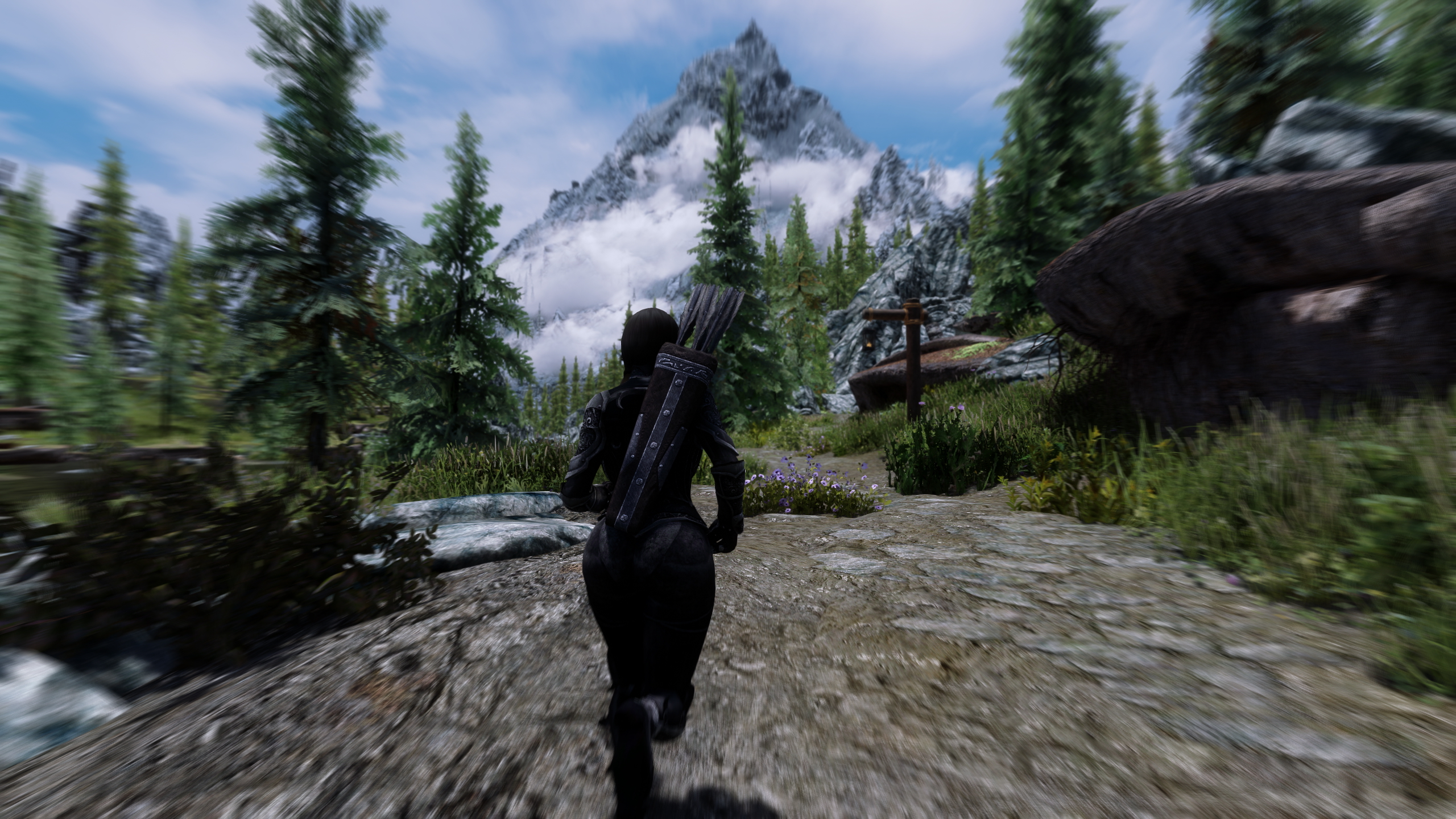 Skyrim Beautification Project - Mod