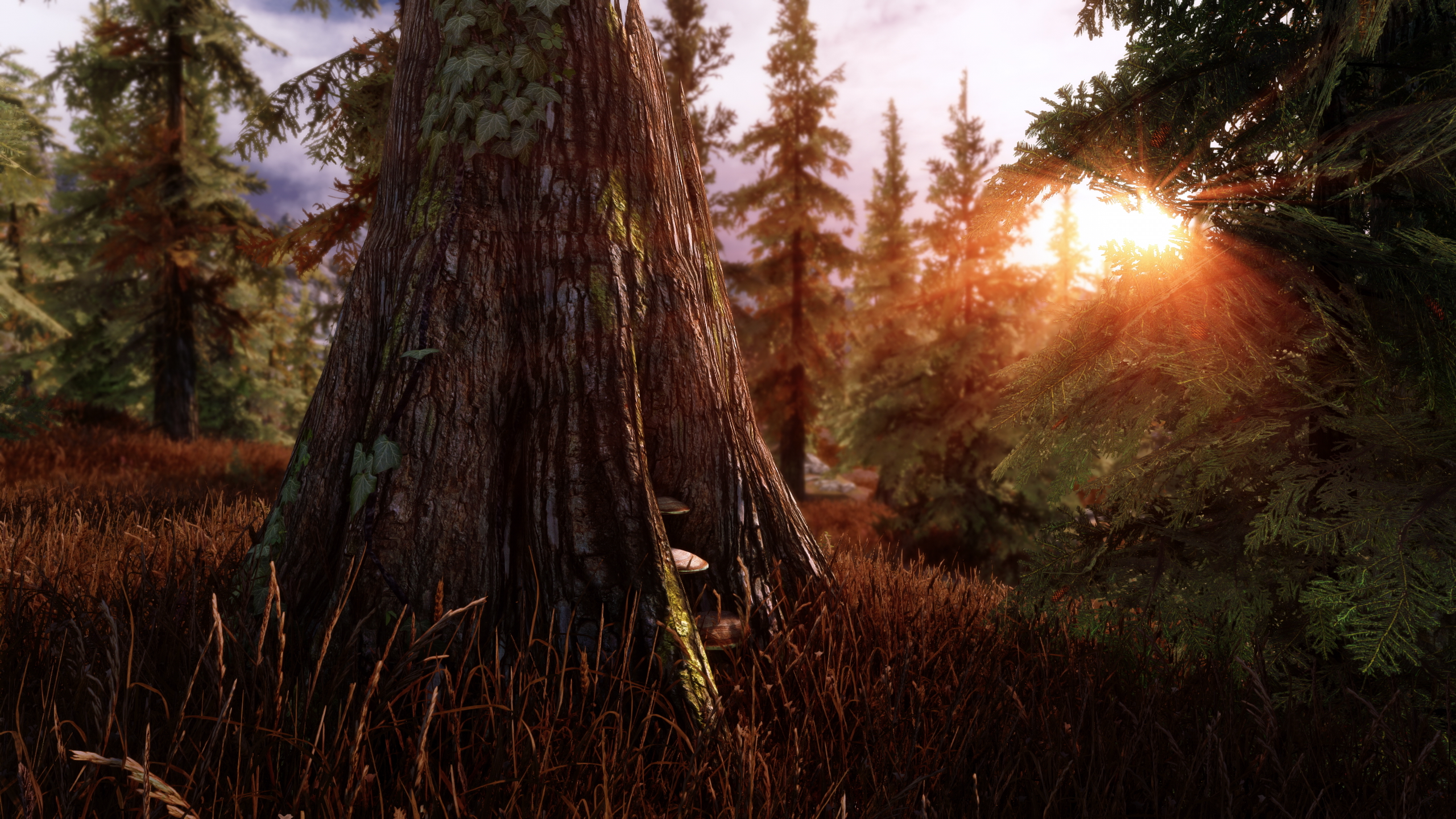 Skyrim Beautification Project - Essential Mods