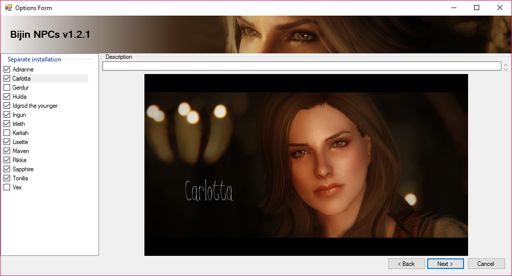 Skyrim Beautification Project - Installation Settings