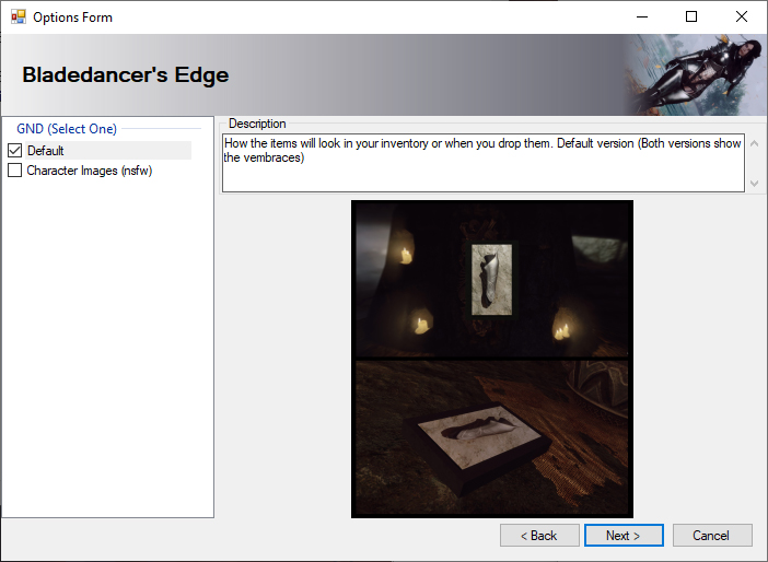 Skyrim Beautification Project Installation Settings